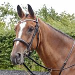 Whittaker Lynton Cavesson Bridle